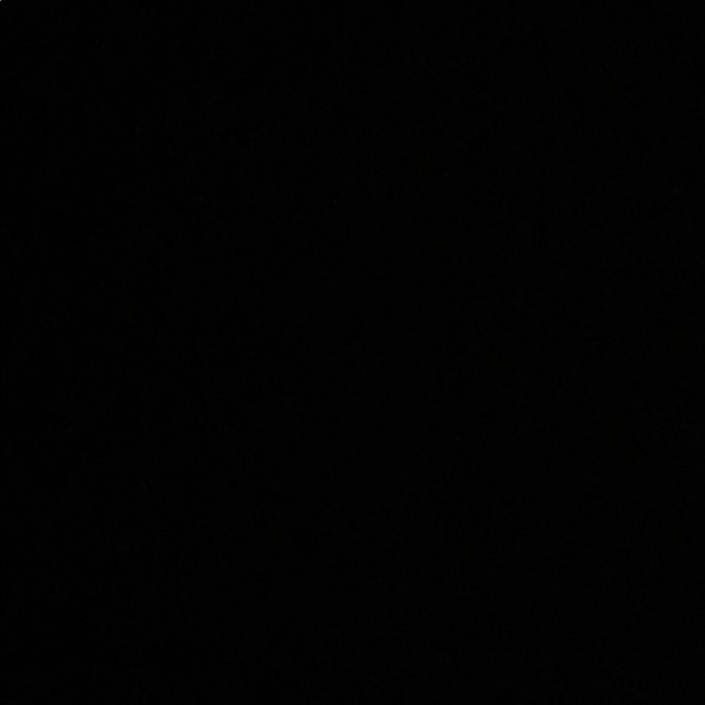 Meet your Posher, Zoey